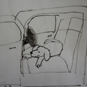 Hop in the truck and pretend to sleep